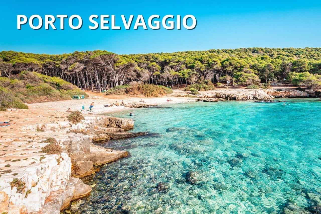 Delfino - Ampio Appartamento A 40 Metri Dalla Spiaggia Lido Conchiglia ภายนอก รูปภาพ