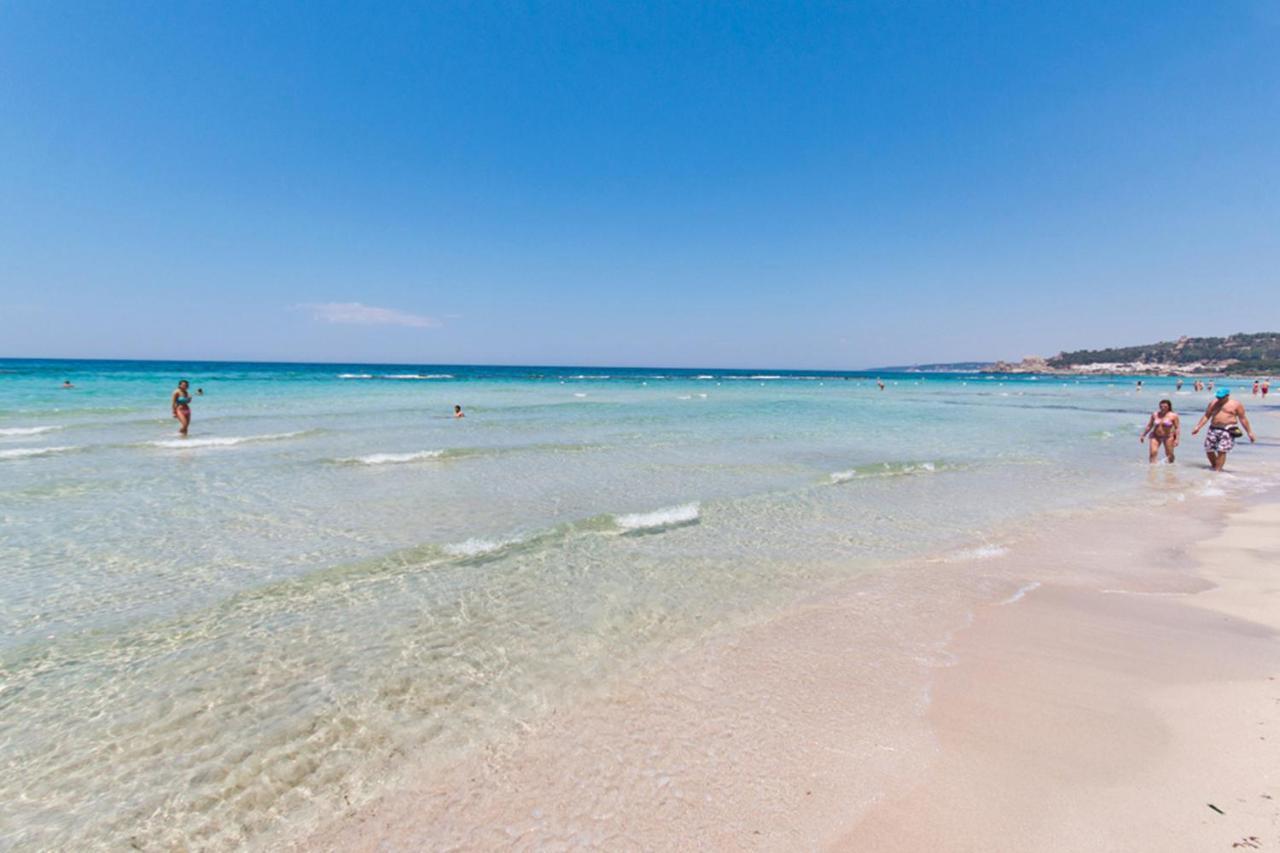 Delfino - Ampio Appartamento A 40 Metri Dalla Spiaggia Lido Conchiglia ภายนอก รูปภาพ