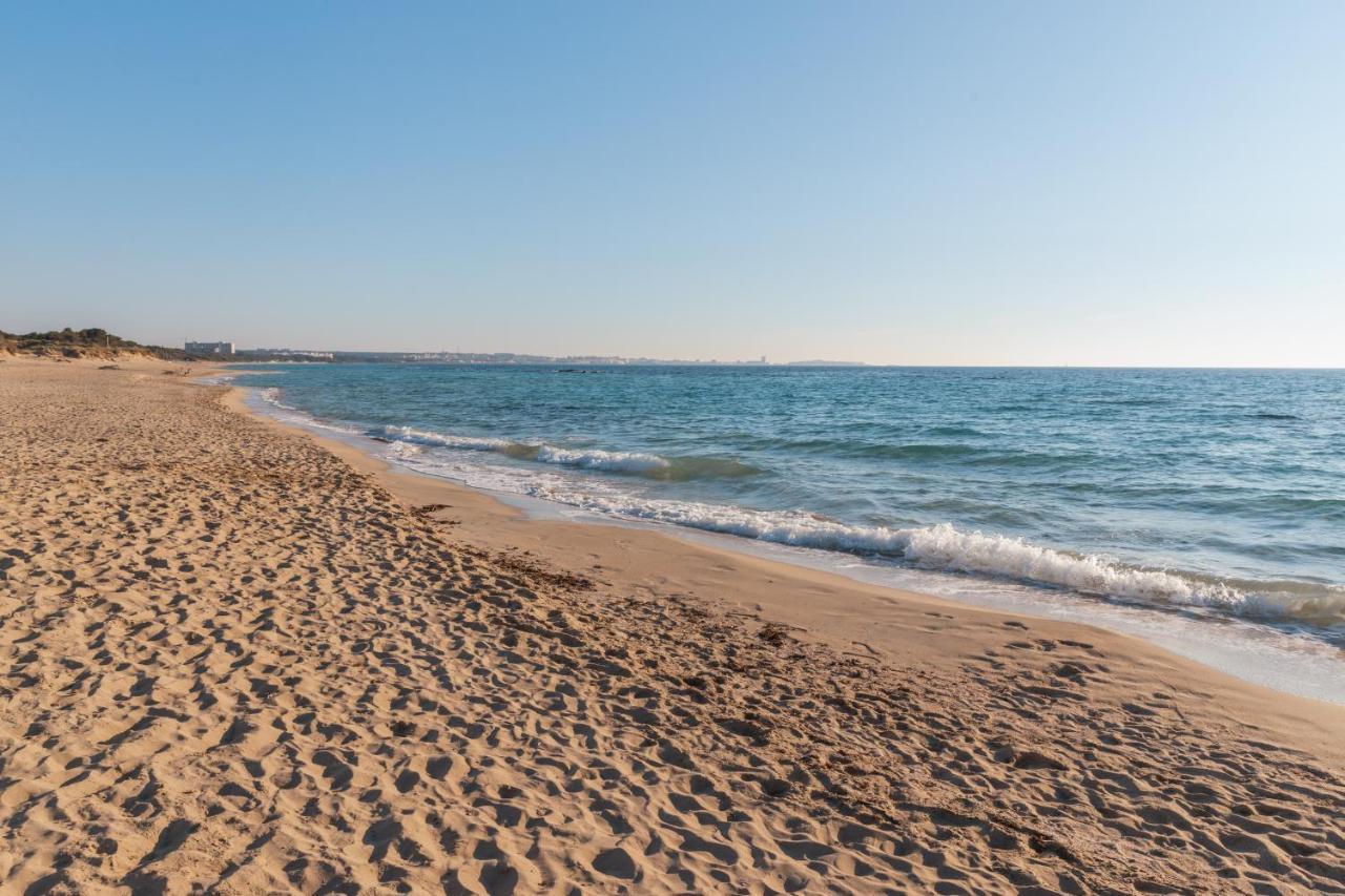 Delfino - Ampio Appartamento A 40 Metri Dalla Spiaggia Lido Conchiglia ภายนอก รูปภาพ